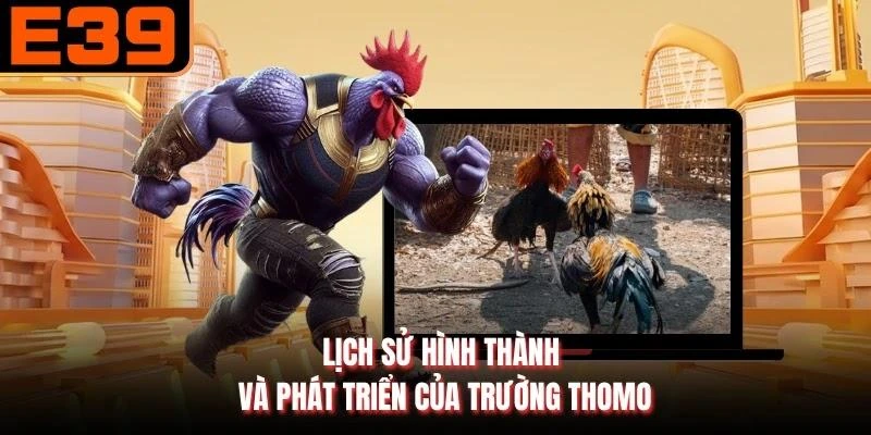Lịch sử hình thành và phát triển của trường Thomo