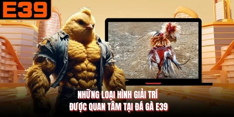 Những loại hình giải trí được quan tâm tại đá gà E39