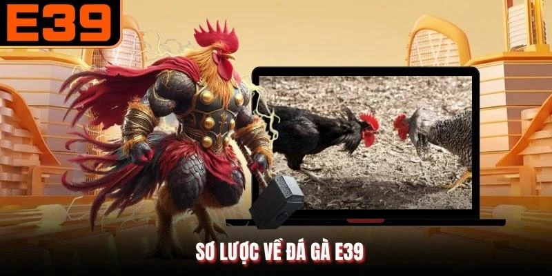 Sơ lược về đá gà E39